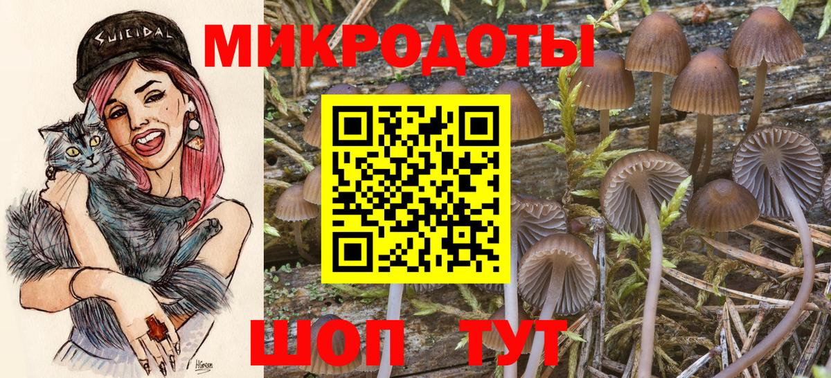 Псилоцибиновые грибы прущие грибы Мончегорск