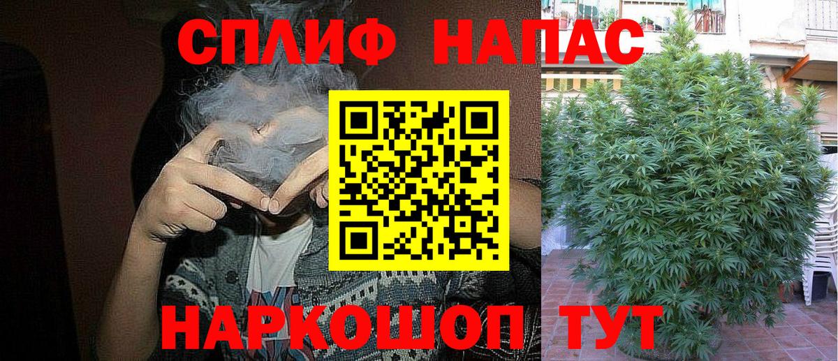Конопля AK-47  Каннабис MAZAR  Мончегорск  Вход с VPN  Каннабис Ganja 